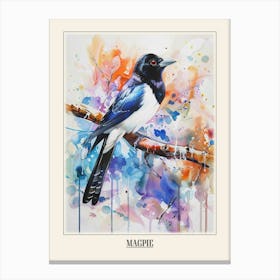 Magpie Colourful Watercolour 3 Poster Canvas Print