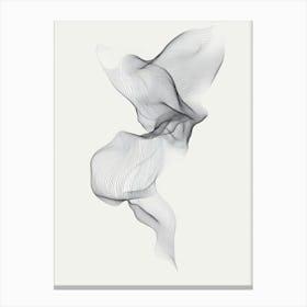 Smoke Canvas Print