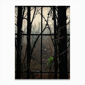 Window In The Forest Canvas Print