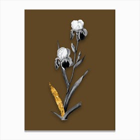 Vintage Elder Scented Iris Black and White Gold Leaf Floral Art on Coffee Brown n.0330 Canvas Print