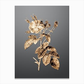 Gold Botanical Harsh Downy Rose on Soft Gray n.3578 Canvas Print