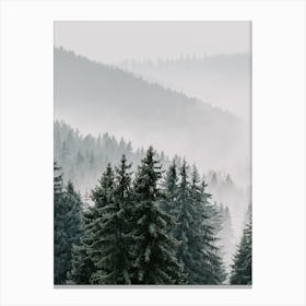 Mountain Forest Fog Canvas Print