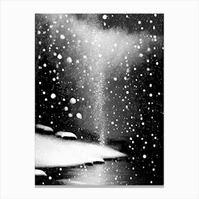 Water, Snowflakes, Black & White 4 Canvas Print