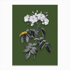 Vintage Musk Rose Black and White Gold Leaf Floral Art on Olive Green n.0036 Canvas Print