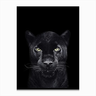 Black Panther on Black Canvas Print