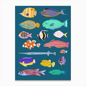 Rainbow fish variety Canvas Print