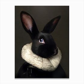 Dutch Master Harper Rabbit With White Collar Pet Portraits Canvas Print