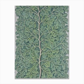 Silver Linden 2 tree Vintage Botanical Canvas Print