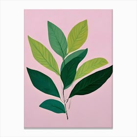 Green Leaves On A Pink Background Canvas Print