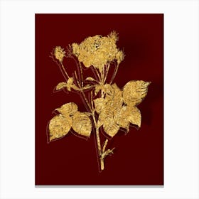 Vintage Pink French Roses Botanical in Gold on Red Canvas Print