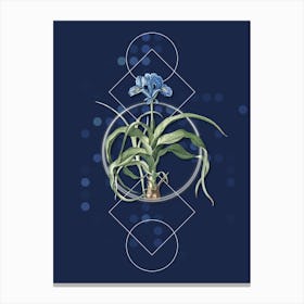 Vintage Iris Scorpiodes Botanical with Geometric Line Motif and Dot Pattern n.0014 Canvas Print