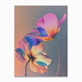 Iridescent Flower Buttercup 1 Canvas Print