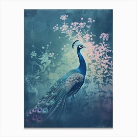 Turquoise Vintage Peacock With White Wild Flowers Canvas Print