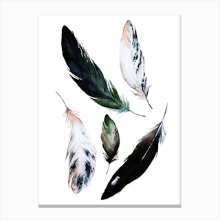 Feathers Watercolor Canvas Print