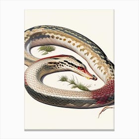 Bull Snake 1 Vintage Canvas Print