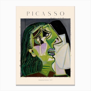 Picasso puzzles  are you up to the - NGV design store