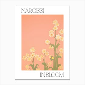 Narcissi In Bloom Flowers Bold Illustration 3 Canvas Print