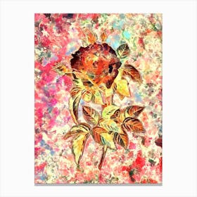 Impressionist Pink French Rose Botanical Painting in Blush Pink and Gold Canvas Print