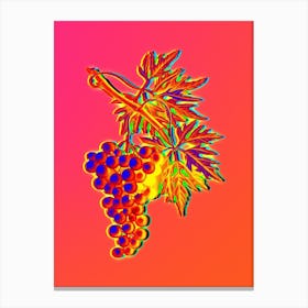 Neon Grape Vine Botanical in Hot Pink and Electric Blue n.0038 Canvas Print