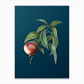 Vintage Peach Botanical Art on Teal Blue n.0144 Canvas Print