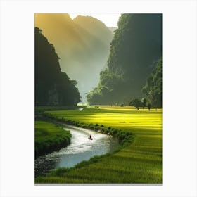 Rice Paddy River Canvas Print