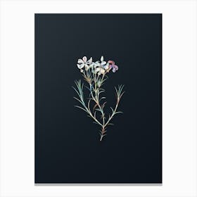 Vintage Shewy Phlox Flower Branch Botanical Watercolor Illustration on Dark Teal Blue n.0470 Canvas Print