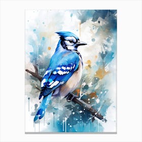Snowy Blue Jay 2 Canvas Print