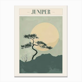 Juniper Tree Minimal Japandi Illustration 1 Poster Canvas Print