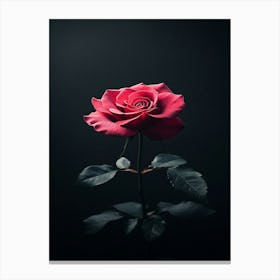 Single Rose On Black Background 7 Canvas Print