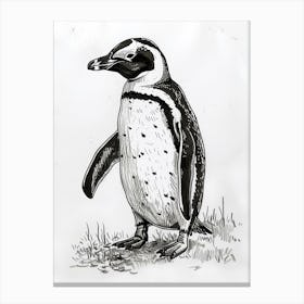 Emperor Penguin Staring Curiously 4 Canvas Print