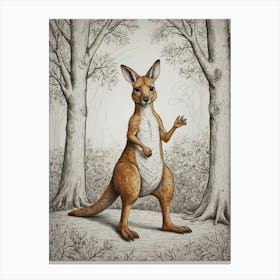 Kangaroo 12 Canvas Print