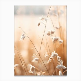 Boho Dried Flowers Forget Me Not 4 Canvas Print