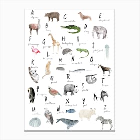 Abc Canvas Print