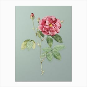 Vintage French Rose Botanical Art on Mint Green n.0388 Canvas Print