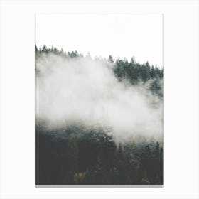 Fog In The Forest Canvas Print