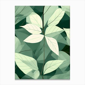 Tropical Leaves vector art, Charm of Green and white, 1267 Canvas Print
