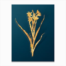 Vintage Sword Lily Botanical in Gold on Teal Blue n.0075 Canvas Print