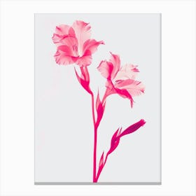 Hot Pink Gladiolus 2 Canvas Print