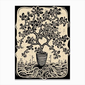 B&W Plant Illustration Jade Plant 3 Canvas Print