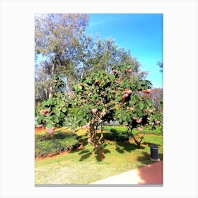 cherry Tree In The Park Canvas Print