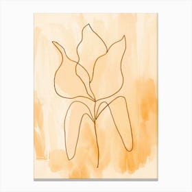 Tulip Faded Peach Canvas Print