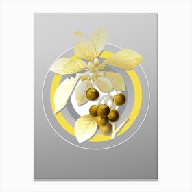Botanical Cherry in Yellow and Gray Gradient n.038 Canvas Print