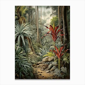 Vintage Jungle Botanical Illustration Bromeliads 2 Canvas Print