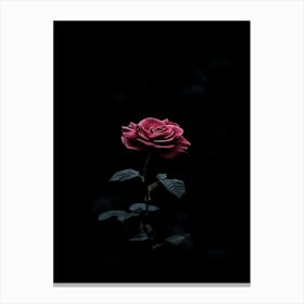 Dark Rose 33 Canvas Print