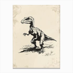 Microraptor Dinosaur Black Ink Illustration 2 Canvas Print