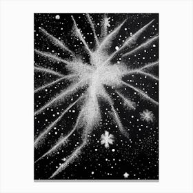 Diamond Dust, Snowflakes, Black & White 5 Canvas Print