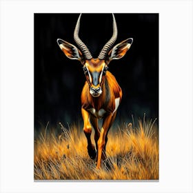 Wild Animal Creative Portrait 29 Canvas Print