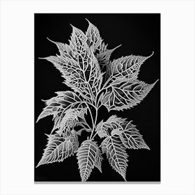 Pokeweed Leaf Linocut 2 Canvas Print