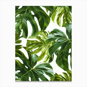 Monstera Leaves Seamless Pattern Canvas Print