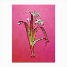 Vintage Iris Fimbriata Botanical Art on Beetroot Purple Canvas Print